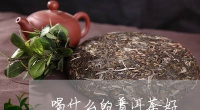 喝什么的普洱茶好/2023062165250