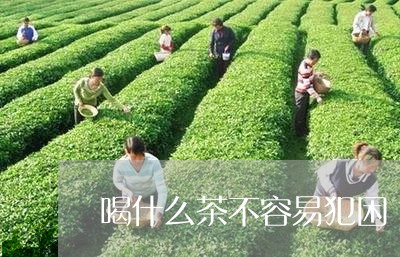 喝什么茶不容易犯困/2023042118370