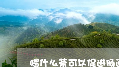 喝什么茶可以促进肠道蠕动/2023051150696