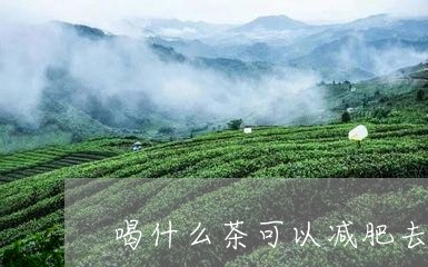 喝什么茶可以减肥去脂/2023071385158