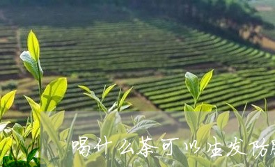 喝什么茶可以生发防脱/2023071342613