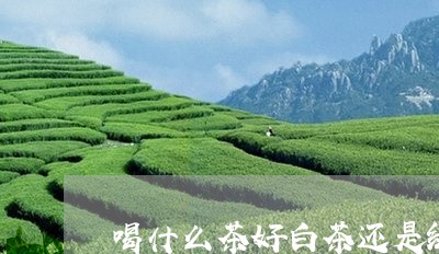 喝什么茶好白茶还是绿茶/2023101697069