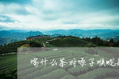 喝什么茶对嗓子喉咙好/2023071340612