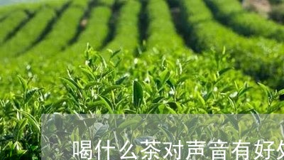 喝什么茶对声音有好处/2023071460683