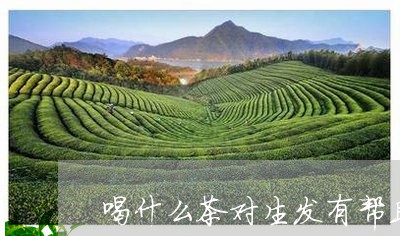 喝什么茶对生发有帮助/2023071415926