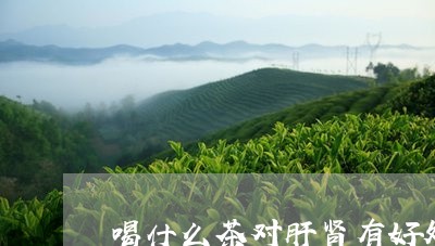 喝什么茶对肝肾有好处/2023071440804