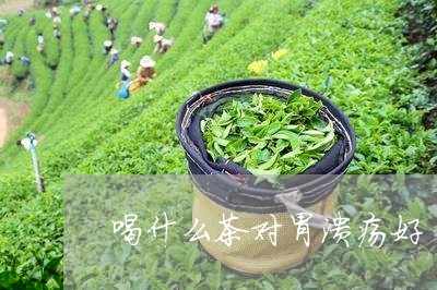 喝什么茶对胃溃疡好/2023042106271