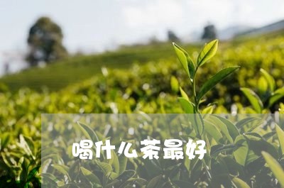 喝什么茶最好/2023042993696