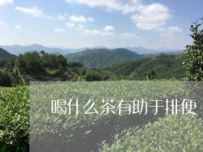 喝什么茶有助于排便/2023042183038