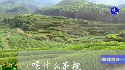 喝什么茶梗/2023090275049