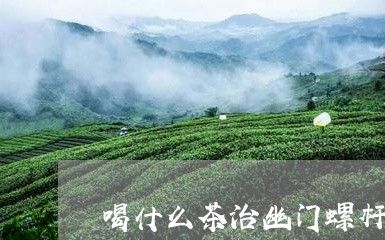 喝什么茶治幽门螺杆菌/2023071425059