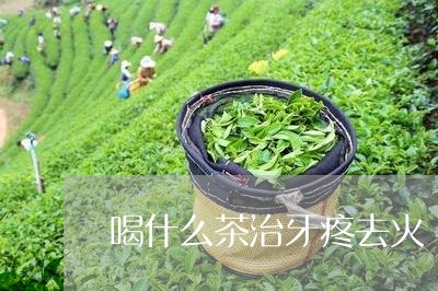 喝什么茶治牙疼去火/2023042169405