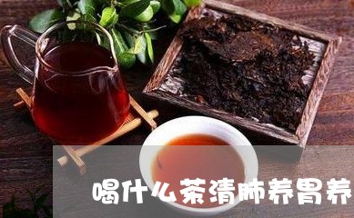 喝什么茶清肺养胃养肾/2023071467369