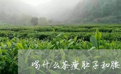 喝什么茶瘦肚子和腰上赘肉/2023051192037