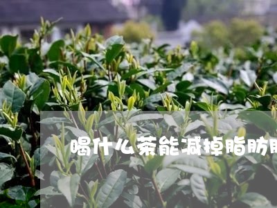 喝什么茶能减掉脂肪肝/2023071376148