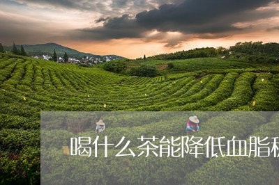 喝什么茶能降低血脂稠/2023071384958