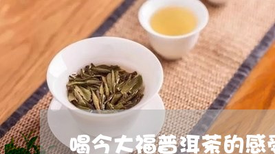 喝今大福普洱茶的感受/2023092603026