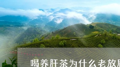 喝养肝茶为什么老放屁/2023071459827