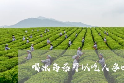 喝冰岛茶可以吃人参吗/2023092396947