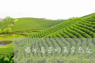 喝冰岛茶的真实感受/2023042662049