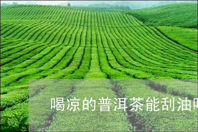 喝凉的普洱茶能刮油吗/2023072255926