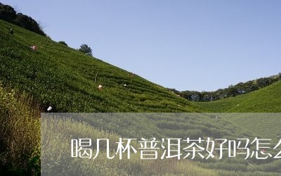 喝几杯普洱茶好吗怎么喝/2023082977282