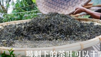 喝剩下的茶叶可以干嘛/2023092309393