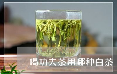 喝功夫茶用哪种白茶/2023071793157