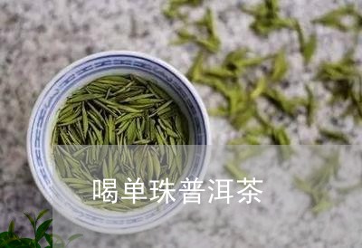 喝单珠普洱茶/2023081887493