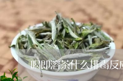 喝即溶茶什么排毒反应/2023071404715