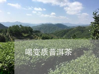 喝变质普洱茶/2023042640188