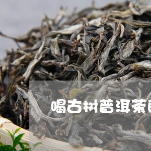 喝古树普洱茶的功效/2023071004835