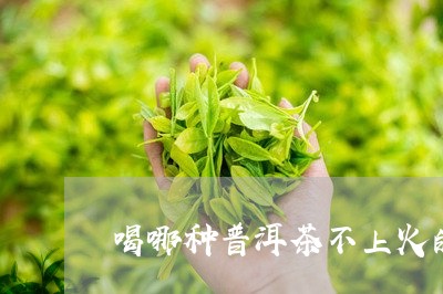 喝哪种普洱茶不上火的好/2023050580483