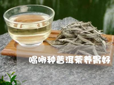 喝哪种普洱茶养胃好/2023071172735