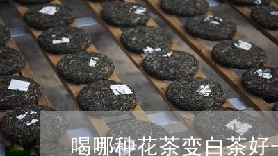 喝哪种花茶变白茶好一点/2023101683037