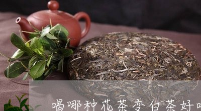 喝哪种花茶变白茶好喝点/2023101624935