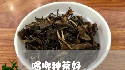 喝哪种茶好/2023090269760