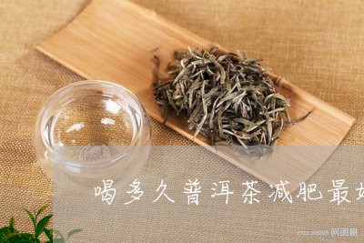 喝多久普洱茶减肥最好/2023062976958