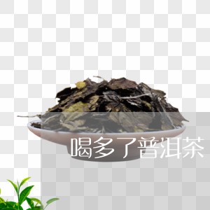 喝多了普洱茶/2023042623156