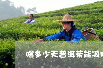 喝多少天普洱茶能减肥啊/2023121556948