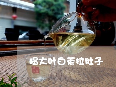 喝大叶白茶拉肚子/2023061666147