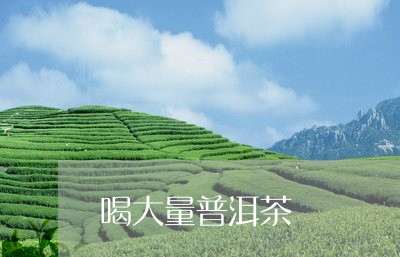 喝大量普洱茶/2023042692631