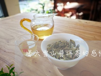 喝大雪山普洱茶的感悟/2023092716040