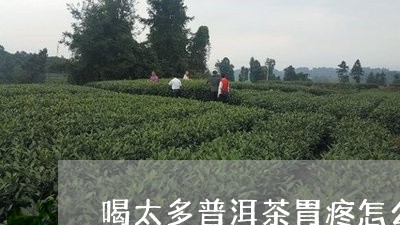 喝太多普洱茶胃疼怎么缓解/2023112495350