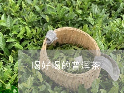 喝好喝的普洱茶/2023101621603