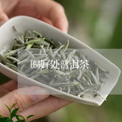 喝好处普洱茶/2023042605298