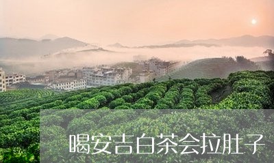 喝安吉白茶会拉肚子/2023071721393