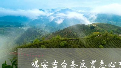 喝安吉白茶反胃恶心想吐/2023101634716