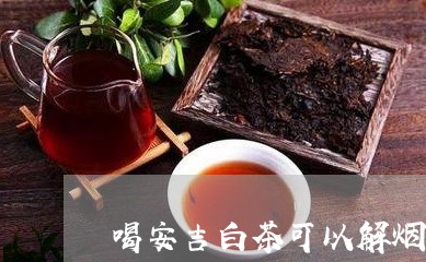 喝安吉白茶可以解烟毒吗/2023101662635