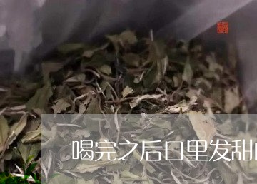 喝完之后口里发甜的茶/2023071400897